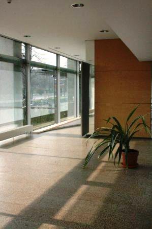 BZW Flur im Erdgeschoss mit Palme